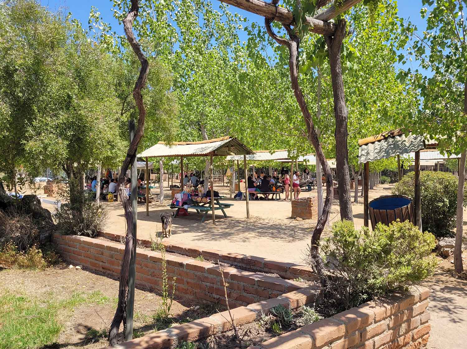 Área de picnic y quinchos