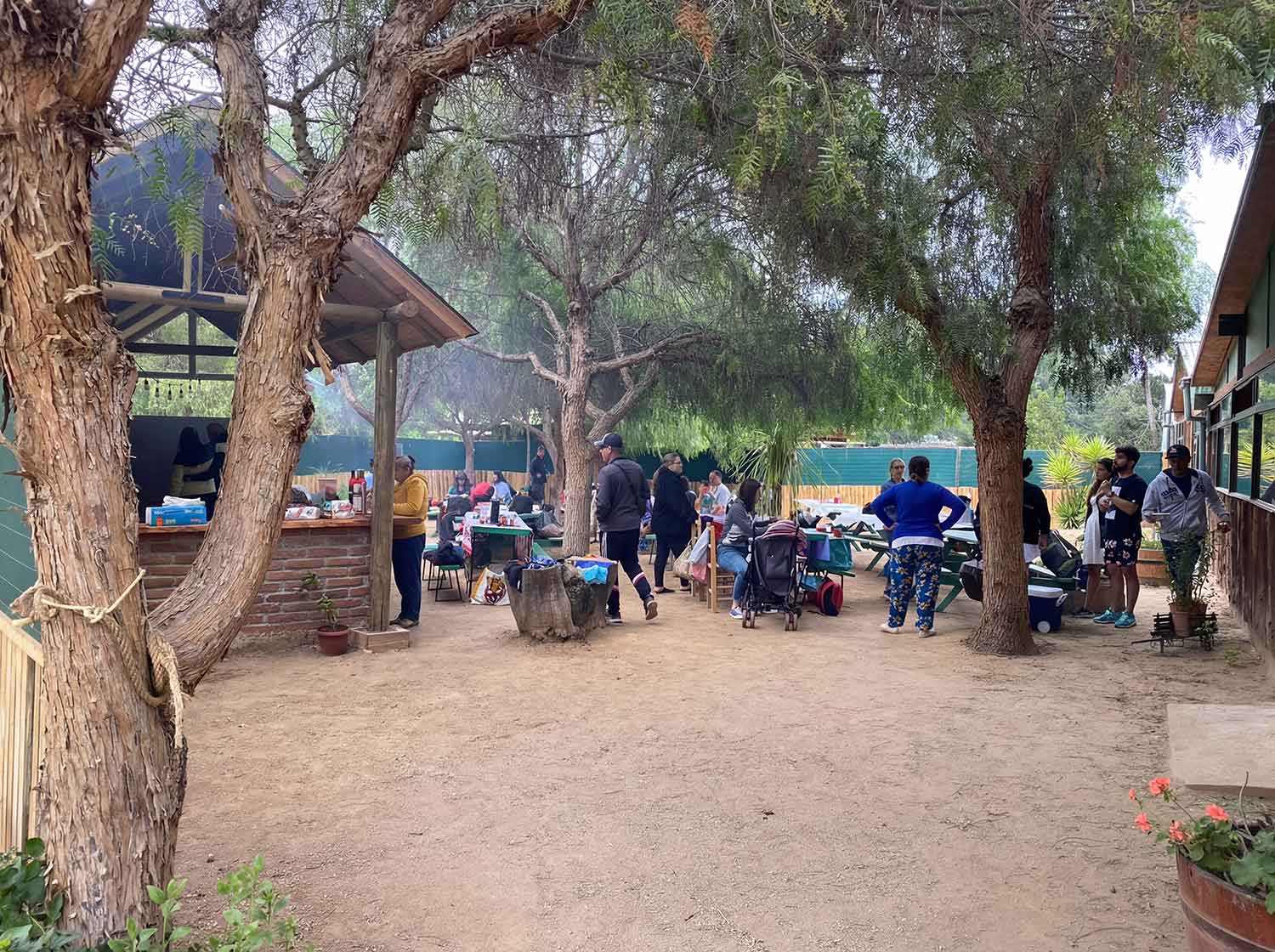 Comedor y área común